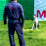 CURSO DE ENTRENADOR