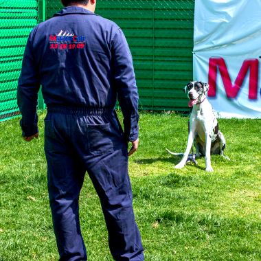 CURSO DE ENTRENADOR