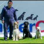 PSICOLOGÍA CANINA: