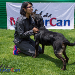 EDUCACIÓN PARA MI PERRO ll (OBEDIENCIA AVANZADA)