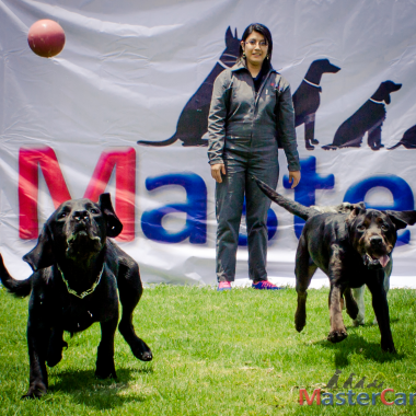 EDUCACIÓN PARA MI PERRO (OBEDIENCIA BÁSICA)