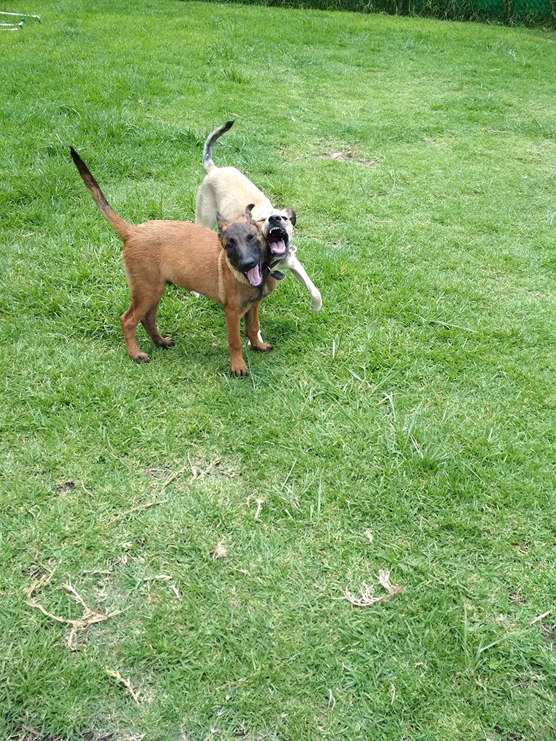 IMG 20170730 134630